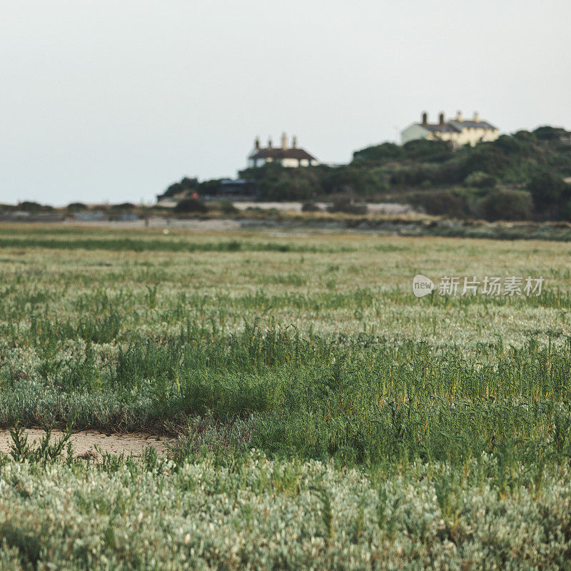 七姐妹郊野公园，Cuckmere Haven，东苏塞克斯，英国